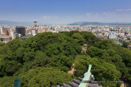 和歌山城本丸御殿跡｜高解像度画像サイズ：5297 x 3531 pixels｜写真番号：1P3J4329｜撮影：Canon EOS-1Ds Mark III