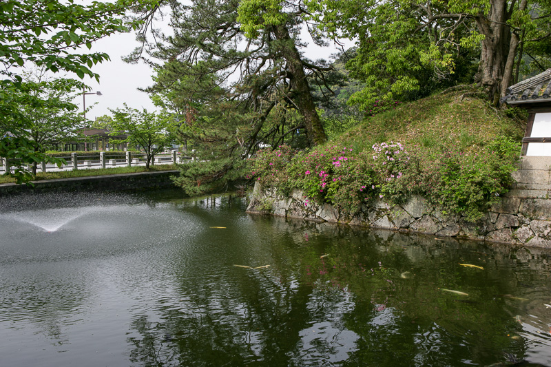 山口城　写真ライブラリー：堀跡