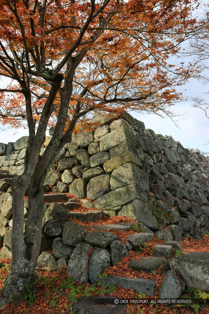 大和郡山城天守台（2007年撮影）