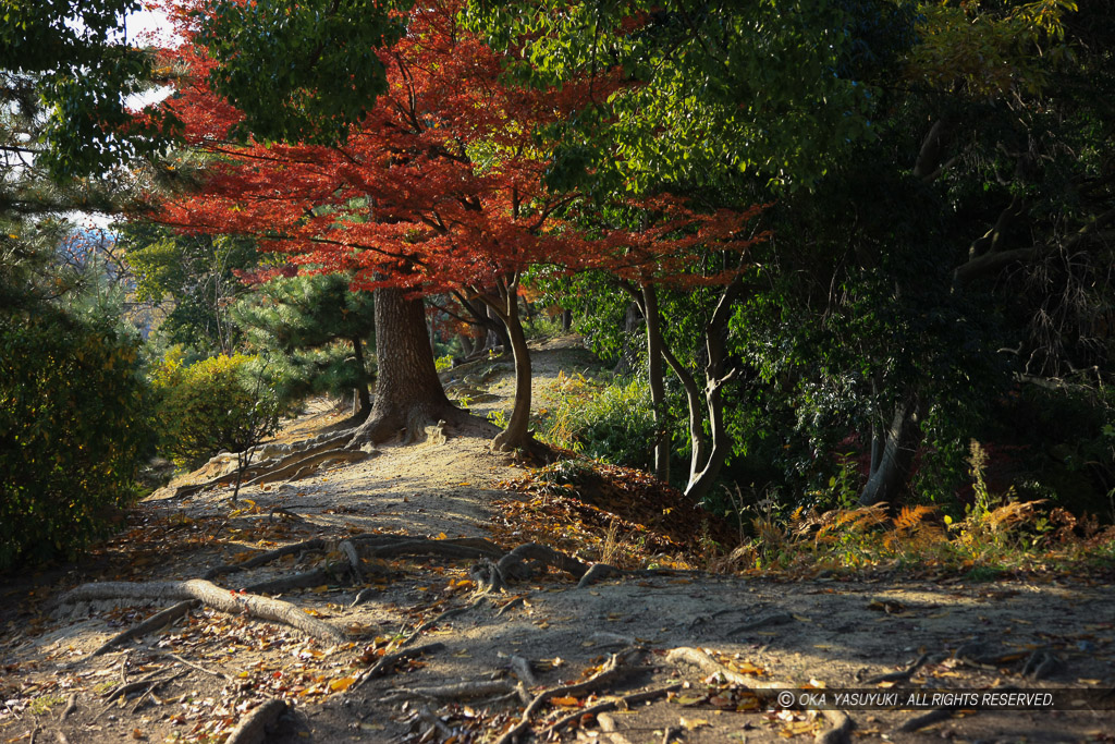 土塁