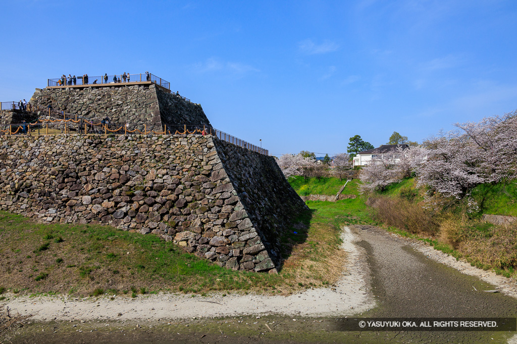 本丸石垣・天守台・内掘