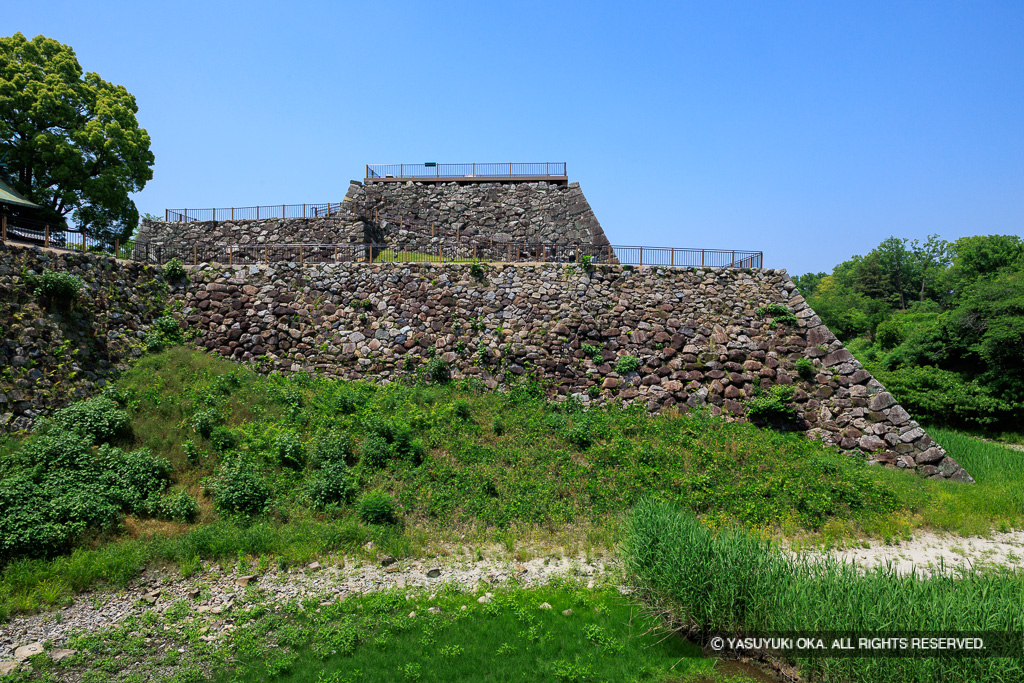 大和郡山城の本丸と天守台・新緑