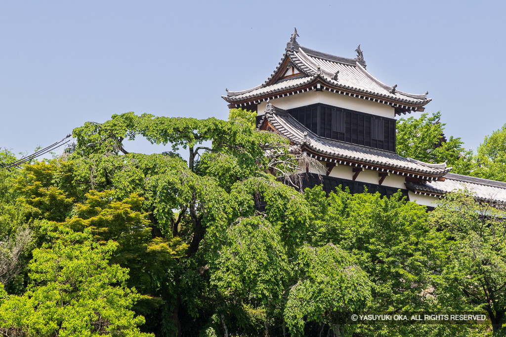 追手東隅櫓・新緑