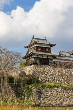 大和郡山城 追手東隅櫓｜高解像度画像サイズ：3744 x 5616 pixels｜写真番号：1P3J0001-Edit｜撮影：Canon EOS-1Ds Mark III