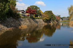 水堀｜高解像度画像サイズ：5616 x 3744 pixels｜写真番号：1P3J0026｜撮影：Canon EOS-1Ds Mark III