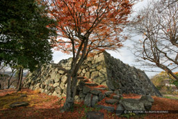 大和郡山城天守台（2007年撮影）｜高解像度画像サイズ：5616 x 3744 pixels｜写真番号：1P3J0149｜撮影：Canon EOS-1Ds Mark III