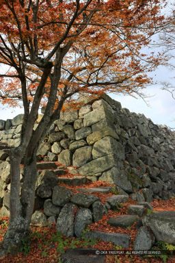 大和郡山城天守台（2007年撮影）｜高解像度画像サイズ：3744 x 5616 pixels｜写真番号：1P3J0153｜撮影：Canon EOS-1Ds Mark III