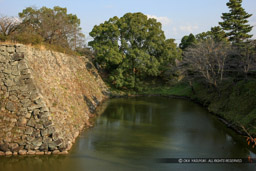 本丸石垣と内堀｜高解像度画像サイズ：5616 x 3744 pixels｜写真番号：1P3J0294｜撮影：Canon EOS-1Ds Mark III