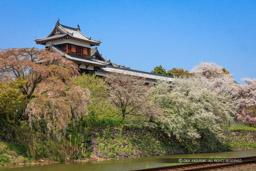 大和郡山城 追手東隅櫓｜高解像度画像サイズ：7845 x 5230 pixels｜写真番号：5DSA5198-Edit｜撮影：Canon EOS 5DS