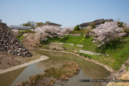 本丸の堀｜高解像度画像サイズ：8688 x 5792 pixels｜写真番号：5DSA5233｜撮影：Canon EOS 5DS