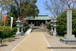 柳澤神社｜高解像度画像サイズ：6480 x 4320 pixels｜写真番号：5DSA5344｜撮影：Canon EOS 5DS