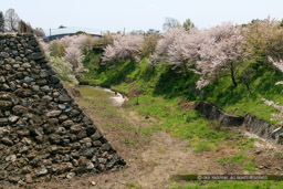 本丸堀｜高解像度画像サイズ：6480 x 4320 pixels｜写真番号：5DSA5395｜撮影：Canon EOS 5DS