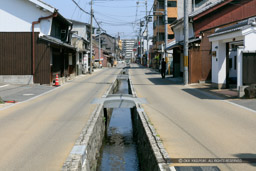 紺屋川（掘割水路）｜高解像度画像サイズ：6480 x 4320 pixels｜写真番号：5DSA5443｜撮影：Canon EOS 5DS