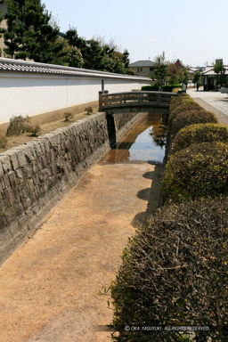 外堀緑地｜高解像度画像サイズ：4231 x 6346 pixels｜写真番号：5DSA5452｜撮影：Canon EOS 5DS