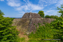 本丸石垣と天守台・夏 | 高解像度画像サイズ：8192 x 5464 pixels | 写真番号：6F1A0466 | 撮影：Canon EOS R5m2