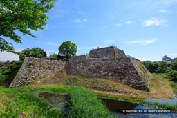 大和郡山城の本丸と天守台・新緑 | 高解像度画像サイズ：7705 x 5139 pixels | 写真番号：6F1A0493 | 撮影：Canon EOS R5m2