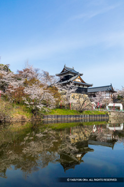 大和郡山城の桜・追手門と追手向櫓・2025 | 高解像度画像サイズ：5464 x 8192 pixels | 写真番号：6F1A5513 | 撮影：Canon EOS R5m2