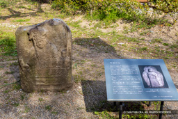 両面石仏 | 高解像度画像サイズ:7098 x 4734 pixels | 写真番号:6F1A5547 | 撮影:Canon EOS R5m2