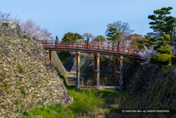 極楽橋 | 高解像度画像サイズ:7857 x 5240 pixels | 写真番号:6F1A5558 | 撮影:Canon EOS R5m2
