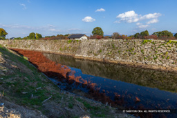 松陰堀 | 高解像度画像サイズ:8192 x 5464 pixels | 写真番号:6F1A6155 | 撮影:Canon EOS R5m2