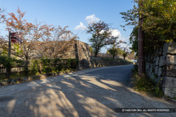 松蔭門跡 | 高解像度画像サイズ:8192 x 5464 pixels | 写真番号:6F1A6156 | 撮影:Canon EOS R5m2