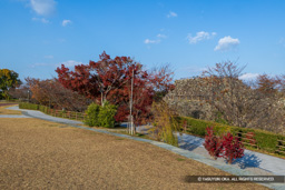 小道 | 高解像度画像サイズ:7067 x 4714 pixels | 写真番号:6F1A6170 | 撮影:Canon EOS R5m2