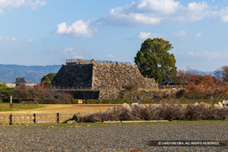 麒麟曲輪から天守台 | 高解像度画像サイズ：8192 x 5464 pixels | 写真番号：6F1A6175 | 撮影：Canon EOS R5m2