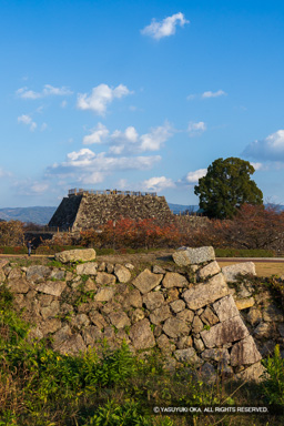 麒麟曲輪から天守台 | 高解像度画像サイズ：5464 x 8192 pixels | 写真番号：6F1A6182 | 撮影：Canon EOS R5m2