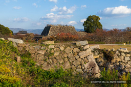 麒麟曲輪から天守台 | 高解像度画像サイズ：8192 x 5464 pixels | 写真番号：6F1A6183 | 撮影：Canon EOS R5m2