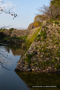 本丸内掘 | 高解像度画像サイズ:5464 x 8192 pixels | 写真番号:6F1A6195 | 撮影:Canon EOS R5m2