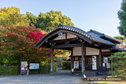 柳澤文庫 | 高解像度画像サイズ:8192 x 5464 pixels | 写真番号:6F1A6200 | 撮影:Canon EOS R5m2