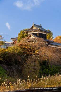 追手東隅櫓・紅葉 | 高解像度画像サイズ:5464 x 8192 pixels | 写真番号:6F1A6210 | 撮影:Canon EOS R5m2