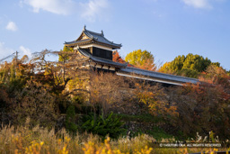追手東隅櫓と多聞櫓・紅葉 | 高解像度画像サイズ：7360 x 4909 pixels | 写真番号：6F1A6215 | 撮影：Canon EOS R5m2
