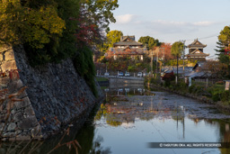 本丸内掘 | 高解像度画像サイズ:8192 x 5464 pixels | 写真番号:6F1A6217 | 撮影:Canon EOS R5m2