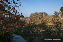 本丸石垣・天守台・紅葉 | 高解像度画像サイズ：8183 x 5458 pixels | 写真番号：6F1A6223 | 撮影：Canon EOS R5m2