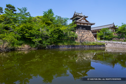 大和郡山城の夏・追手門と追手向櫓・2025 | 高解像度画像サイズ：7961 x 5310 pixels | 写真番号：6F1A9112 | 撮影：Canon EOS R5m2