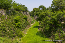 本丸空掘・新緑 | 高解像度画像サイズ:8192 x 5464 pixels | 写真番号:6F1A9134 | 撮影:Canon EOS R5m2
