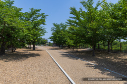 本丸跡・新緑 | 高解像度画像サイズ:8192 x 5464 pixels | 写真番号:6F1A9136 | 撮影:Canon EOS R5m2