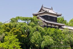 追手東隅櫓・新緑 | 高解像度画像サイズ:7876 x 5253 pixels | 写真番号:6F1A9184 | 撮影:Canon EOS R5m2