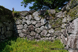 小天守台と地階入口 | 高解像度画像サイズ：8192 x 5464 pixels | 写真番号：344A1258 | 撮影：Canon EOS R5