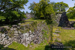 小天守台から大天守台 | 高解像度画像サイズ：8192 x 5464 pixels | 写真番号：344A1275 | 撮影：Canon EOS R5