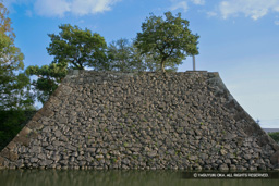 天守台北面 | 高解像度画像サイズ：4878 x 3252 pixels | 写真番号：VJ7Z1673 | 撮影：Canon EOS-1Ds Mark II