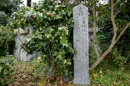 淀城