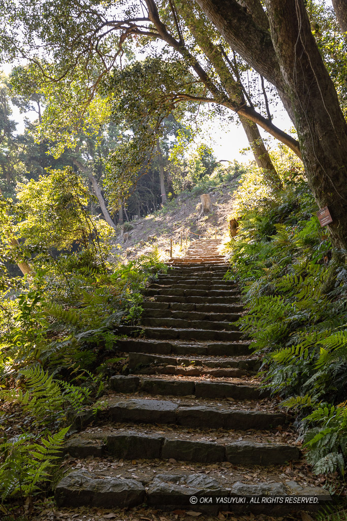 登城路