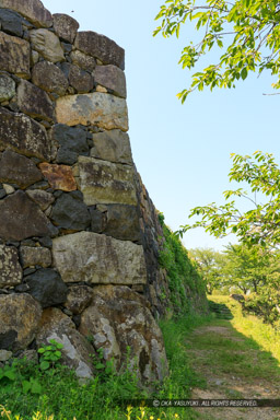 米子城本丸石垣｜高解像度画像サイズ：4480 x 6720 pixels｜写真番号：5D4A0788｜撮影：Canon EOS 5D Mark IV