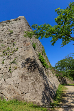 米子城四重櫓台｜高解像度画像サイズ：4480 x 6720 pixels｜写真番号：5D4A0874｜撮影：Canon EOS 5D Mark IV