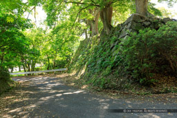 裏御門跡｜高解像度画像サイズ：6720 x 4480 pixels｜写真番号：5D4A0899｜撮影：Canon EOS 5D Mark IV