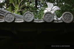 膳所城移築水門・新宮神社｜高解像度画像サイズ：2445 x 1630 pixels｜写真番号：240-4083_IMG｜撮影：Canon EOS D60