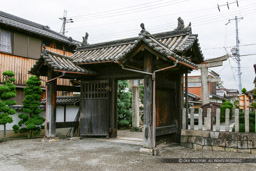 膳所城移築犬走門・若宮八幡神社｜高解像度画像サイズ：3072 x 2048 pixels｜写真番号：242-4208_IMG｜撮影：Canon EOS D60