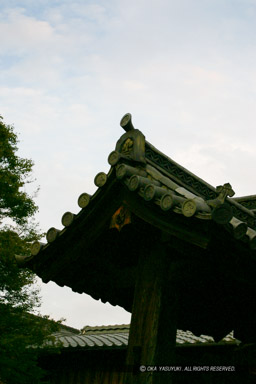 膳所城北大手門・篠津神社｜高解像度画像サイズ：2048 x 3072 pixels｜写真番号：242-4243_IMG｜撮影：Canon EOS D60